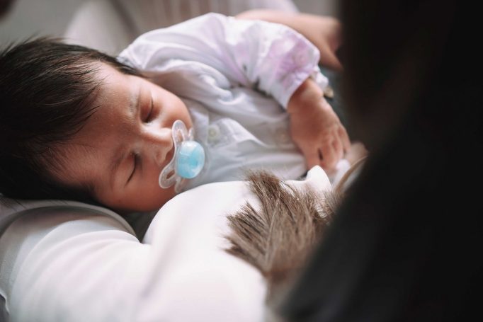 Brit in amiliya events rishon le tzion 24c56a9b60 682x455