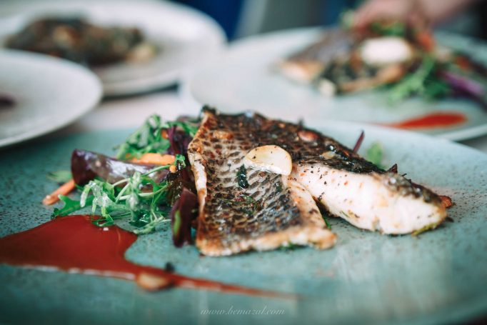 Brit photography in salut events rehovot d1260ce8fc 682x455