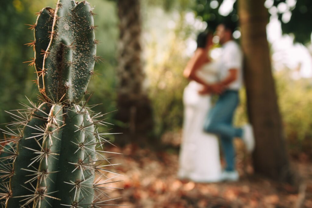 12 wedding photography locations in center 11cc2e2181 1024x682