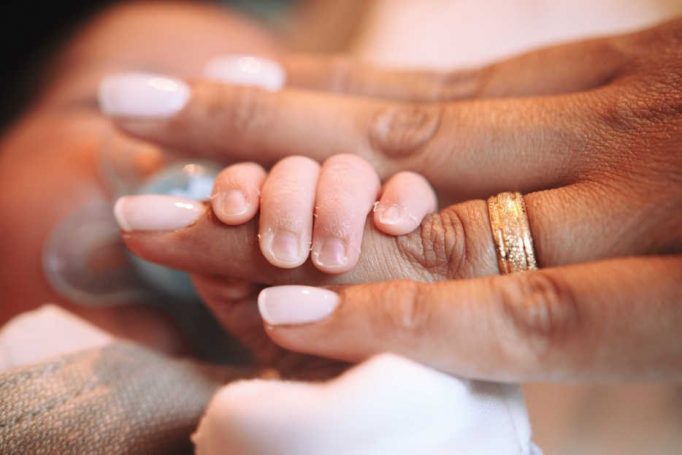 צילומי בוטיק (ניו בורן) הכלולים בחבילת