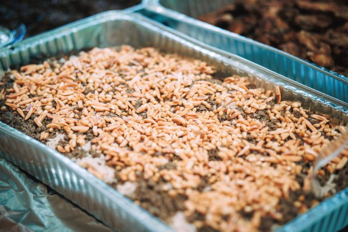 A reform bar mitzvah in tsipri national park 772da942d8 682x455