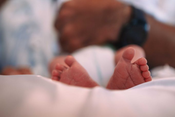 צילום: סטאס מוזיקוב